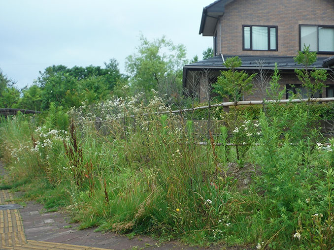 エクステリア施工事例41 BEFORE