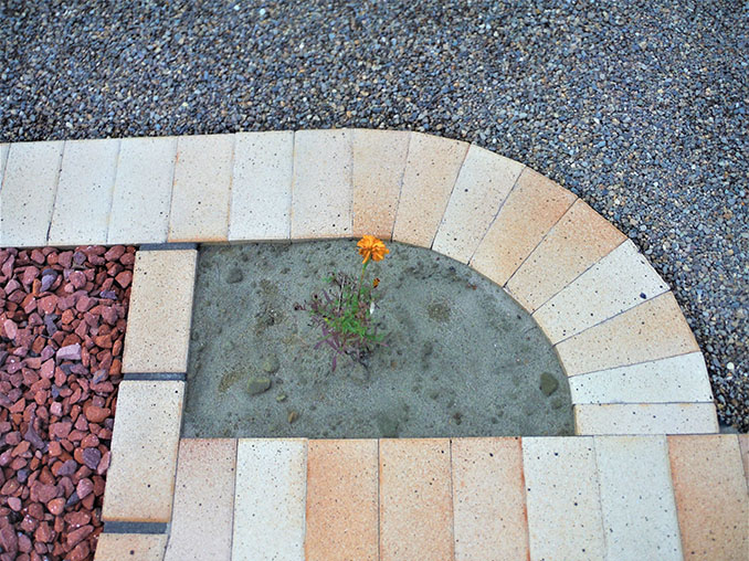 エクステリア施工事例43 AFTER